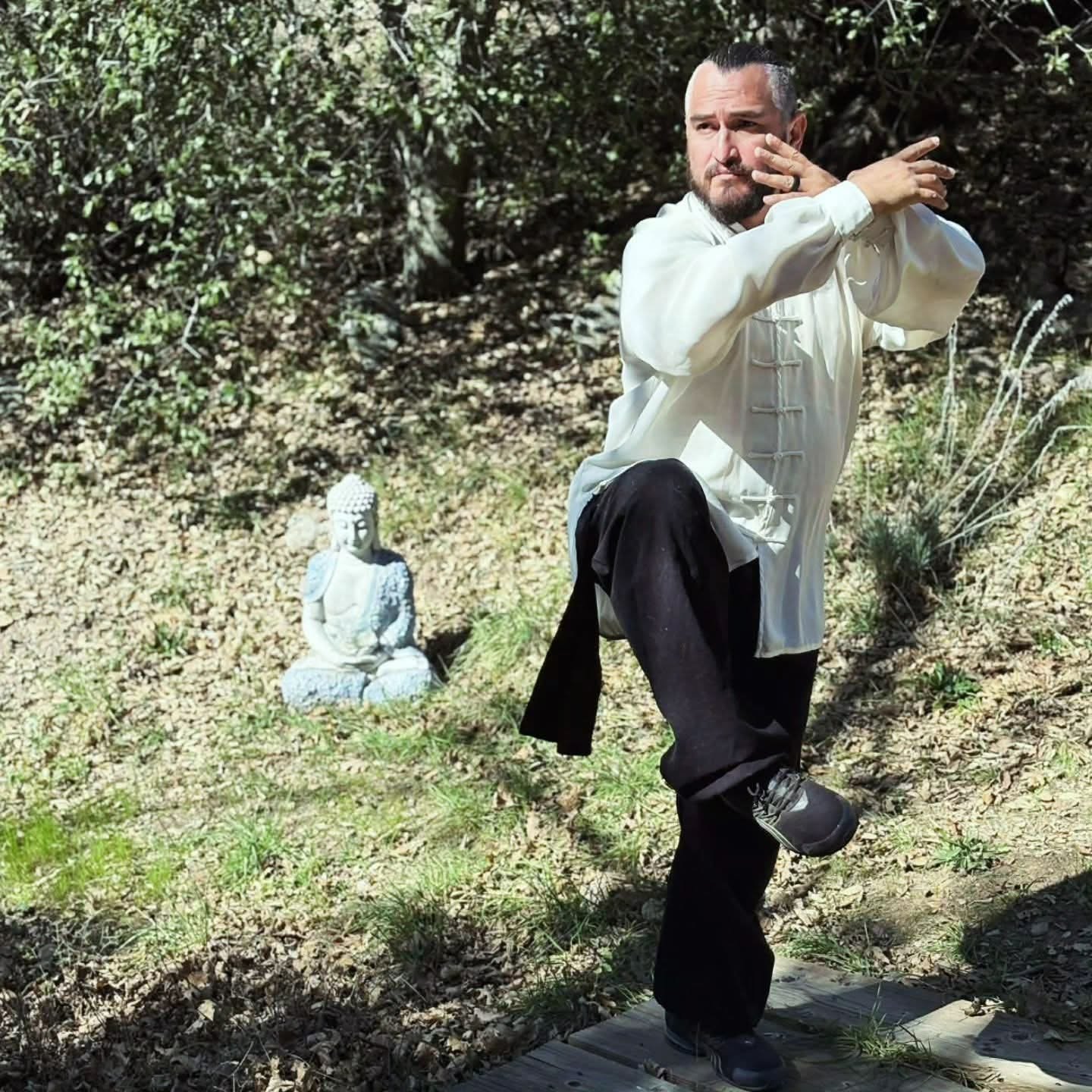 Sifu Marco Santana II